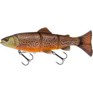 Tiger Trout