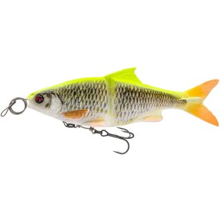 Lemon Roach