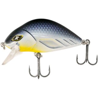 Whitefish