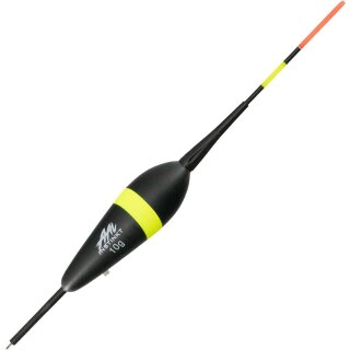 10 g