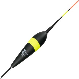 20 g