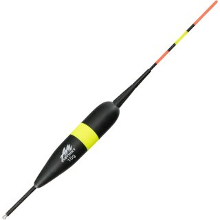 10 g