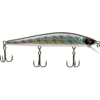 Deadly Black Shad