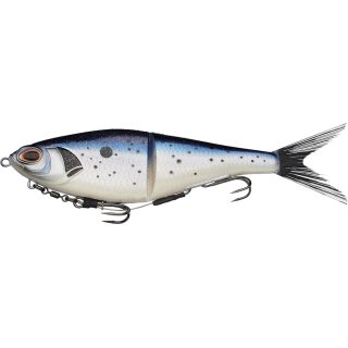 Baitfish