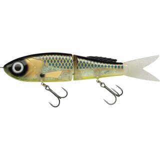 Funky Fish