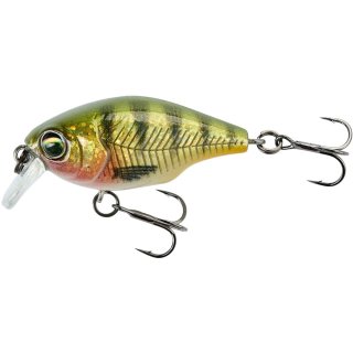 Holo Perch