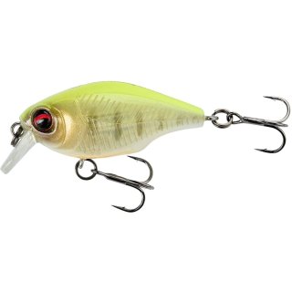 Fluor Yellow Tiger