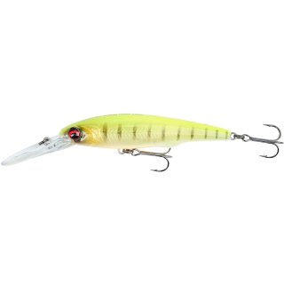 Fluor Yellow Tiger